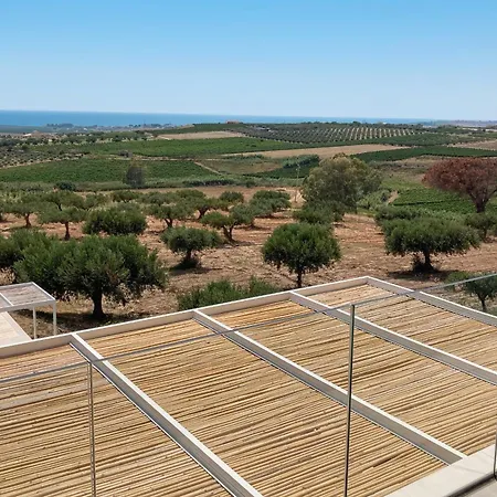 Terra Di Bertolino
